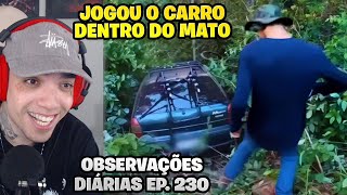 REACT OBSERVAÇÕES DIÁRIAS EP 230 [upl. by Tilney]