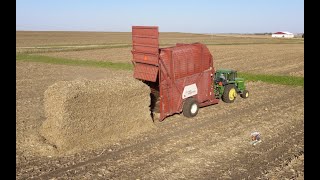 Making BIG STACKS near Coggon Iowa Hesston Stakhand [upl. by Nyliret292]