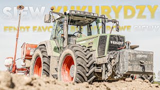 ☆SIEW KUKURYDZY 2024☆ Fendt 818 amp GASPARDO ☆ FENDT NA PRZELOCIE ☆ AGP TEAM [upl. by Etna159]