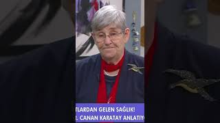 Canan Karatay quotŞeker Hastalığı Düzelirquot  Ezgi Sertelle Kadınlar Bilir shorts [upl. by Negaet]