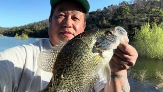 crappie fishing 🎣 at lake Berryessa [upl. by Arch]