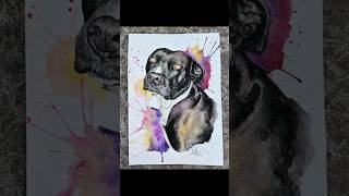 quotSadiequot watercolor pet portrait art process pt3 petportraitartist watercolor doglover dogs [upl. by Ayarahs]