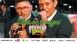 Los Yaguaru  Vida No Te Vayas en vivo [upl. by Ganny]