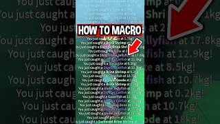 How To MACRO in Roblox Fisch [upl. by Anaik]