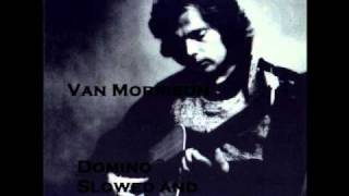 Domino  Van Morrison Slowed and Chopped [upl. by Yerok]