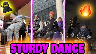 Sturdy Dance V12 🔥💯🌍  TikTok Compilation [upl. by Brocky858]