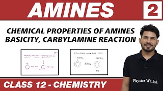 Amines 02  Chemical Properties of Amines  Basicity  Class 12 NCERT [upl. by Ahseei]