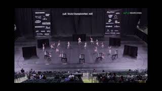 Hudsonville Winterguard 2019 [upl. by Allred75]