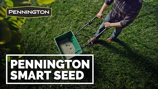 Best Grass Seed  Pennington Smart Seed [upl. by Nae51]