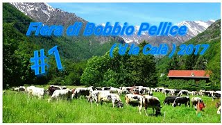 Fiera di Bobbio Pellice  d la Calà  2017 1 [upl. by Sug]