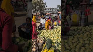 agricultura agrifood vegetablefood foodandagriculture vegetarianfood streetfood fruitcrops [upl. by Noseimaj834]