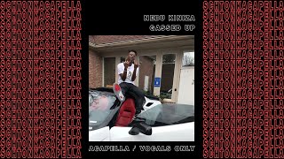 Nebu Kiniza  Gassed Up AcapellaVocals only 149 BPM [upl. by Letizia]