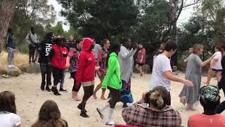 Brolga dance  Yolngu visit to Willum Warrain [upl. by Robbert]