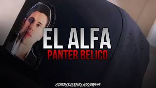 El Alfa  Panter Belico Estudio Corridos 2023 [upl. by Sheryl]