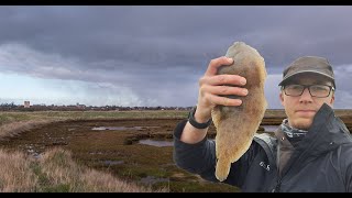 Fishing a Suffolk River  Sole amp Dogfish catch amp cook [upl. by Lidda]