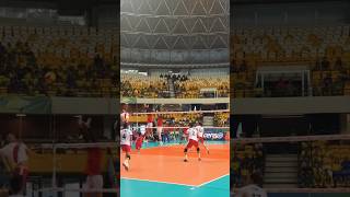 volleyball pallavolo voleibol vnl2024 cev volleyballworld vnl zehra usa [upl. by Dlonyer]