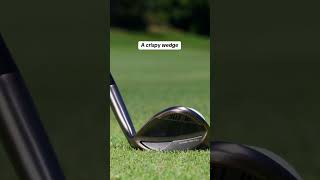 Whats the best sound in golf TaylorMade shorts [upl. by Panter]