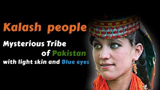 Kalash People DNA Ethnicity Estimate [upl. by Babara]