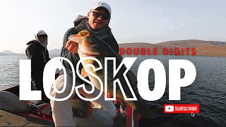 12LB Bass caught at Loskop Dam  South Africa Bass fishing [upl. by Nyrhtak324]