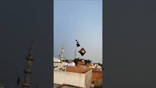 Flying 5 Kites At The Same Time 😱।। shorts kiteflying kitelooting kitechallenge challenge fun [upl. by Aihtibat]