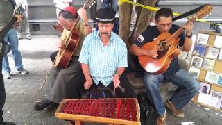 Downtown San Jose Costa Rica Street Music [upl. by Abehsile]