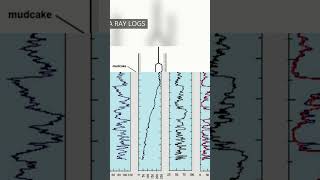 Types of Open Hole Wireline Logs drillingengineering drillingengineer technology [upl. by Tine603]