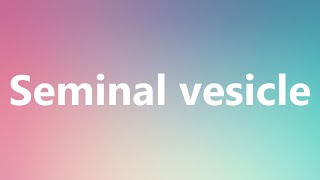 Seminal vesicle  Medical Meaning and Pronunciation [upl. by Iinde]