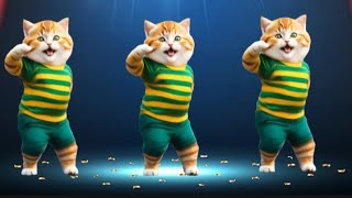 😻🐾️Funny Cat Trending Dancing Videos 😻💃viralvideos Catlovers dancingcat funnycat furrycornerz [upl. by Yerok]