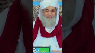 Kya Walida Ke Syed Hone Par Aulad Bhi Syed Kehlayegi syed parents mother shorts ilyasqadri [upl. by Akimak]