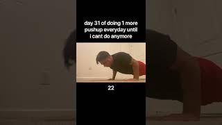 day 31 of doing 1 more pushup everyday until i cant do anymore [upl. by Eladnek71]