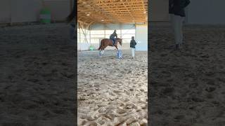 Horseback Riding English Jumping 🐎 [upl. by Aiduan]