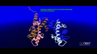 Structural Annotation of a Nucleosome [upl. by Ody]