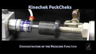 PeckChek  How install and use the Deschner PeckChek Control [upl. by Astrix501]