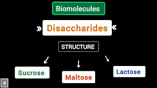 What are Disaccharides structure of sucrose maltose lactose  Biomolecules  simplified [upl. by Andrews]