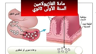 تمرين مادة الفازيولامين اقوى مراجعة للفرض و الاختبار سنة أولى ثانوي [upl. by Mcilroy]