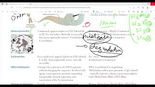 Organization of DNA and chromatin structure  Molecular biology BiochemistryFirst Aid LectureLec4 [upl. by Enyrb]