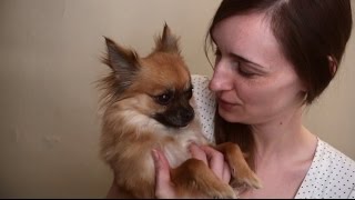 ✉ Story Sundays ✉ How Did I Get Into ASMR My ASMR Discovery amp Puppy Appearance [upl. by Christina]