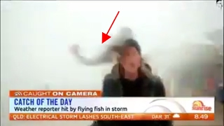 Weather Reporter Hit by Flying Fish in Storm Doris [upl. by Hachman550]