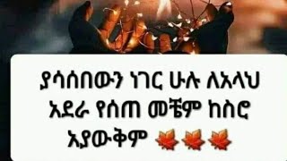 የሳሰበዉን ነገር ሁሉ ለአላህ አደራ የሠጠ መቼም ከስሮ አያወቅም [upl. by Mccormick276]