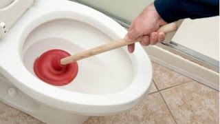 Home Remedies for Unclogging Toilets [upl. by Bina]