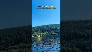 Serene reflections on Titisee Lake Germany  where the Black Forest meets crystalclear waters [upl. by Munson]