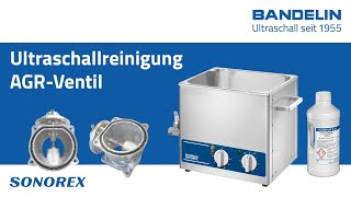 AGRVentil reinigen mit Ultraschall im BANDELIN SONOREX Ultraschallreiniger [upl. by Eetnwahs152]