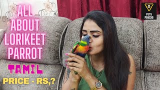 ALL ABOUT LORIKEET PARROT PETSPSYCHO TAMIL [upl. by Ayk]