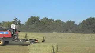 Freeburg Hay Company putting up Alfalfa [upl. by Eillat]