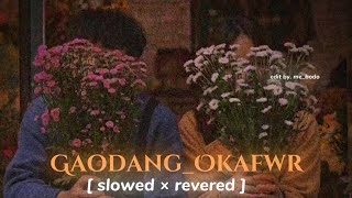 Gaodang Okafwr  Bodo Song Slowed And reverb [upl. by Juno240]