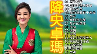 降央卓瑪 Jamyang Dolma  迷人的草原歌曲《西海情歌  我和草原有个约会  烟花易冷 故乡的歌谣故乡》Best Songs Of Jamyang Dolma [upl. by Zerat]