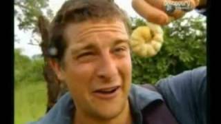 Man Vs Wild  Bear Grylls slug [upl. by Britney]