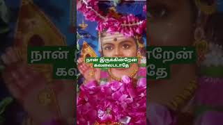 murugan shortdevotional songuppu kathu oothakthu [upl. by Kcirdde]