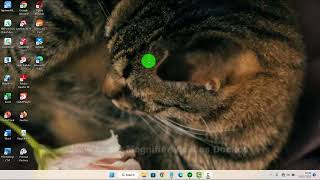 Windows 11 Home  How to set Magnifier view as Docked [upl. by Jeannette145]