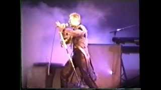 David Bowie Moonage Daydream Phoenix festival 1996 [upl. by Aldarcy]